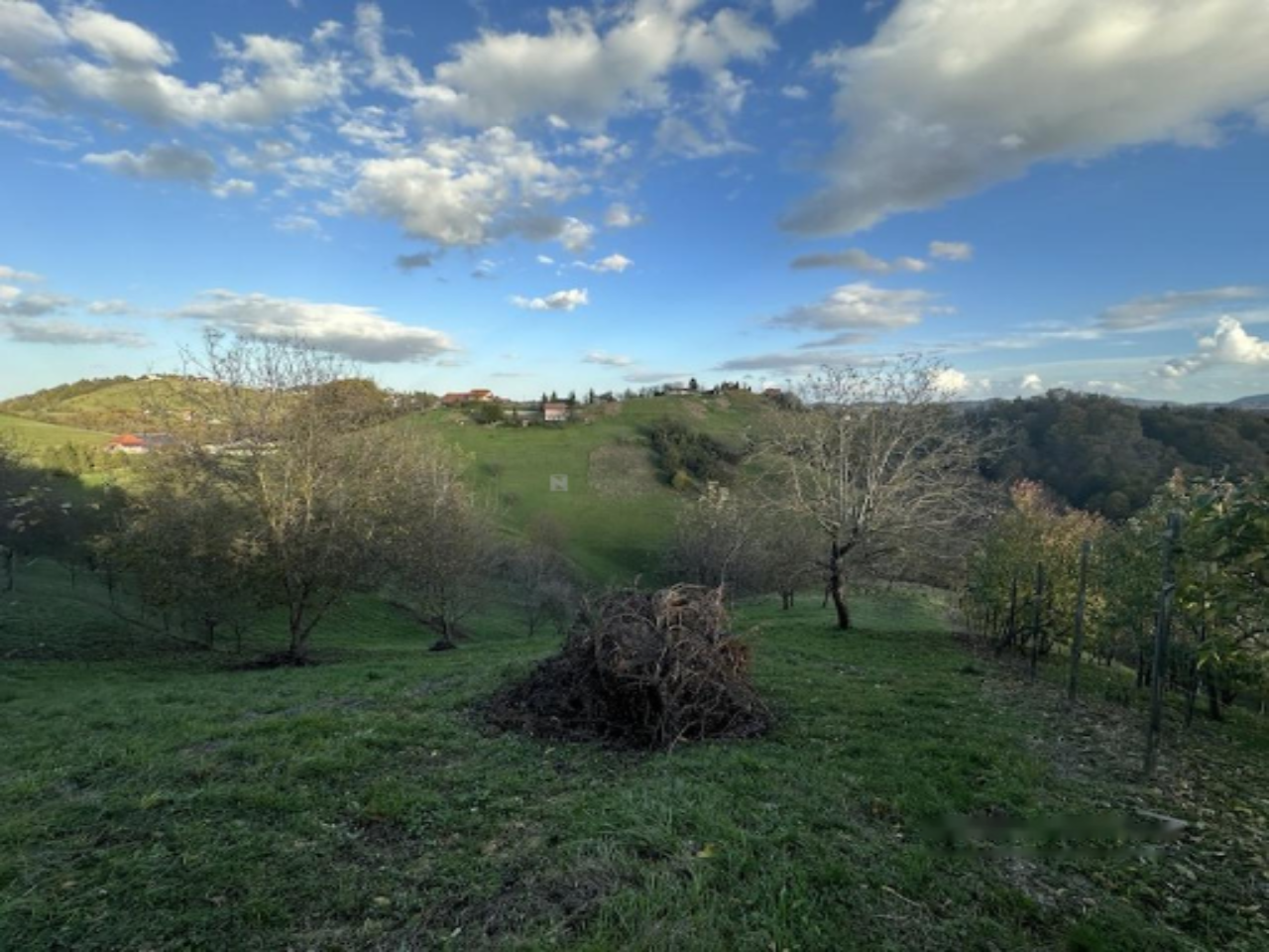 Дом в Птуе, Словения, 90 м² - фото 7