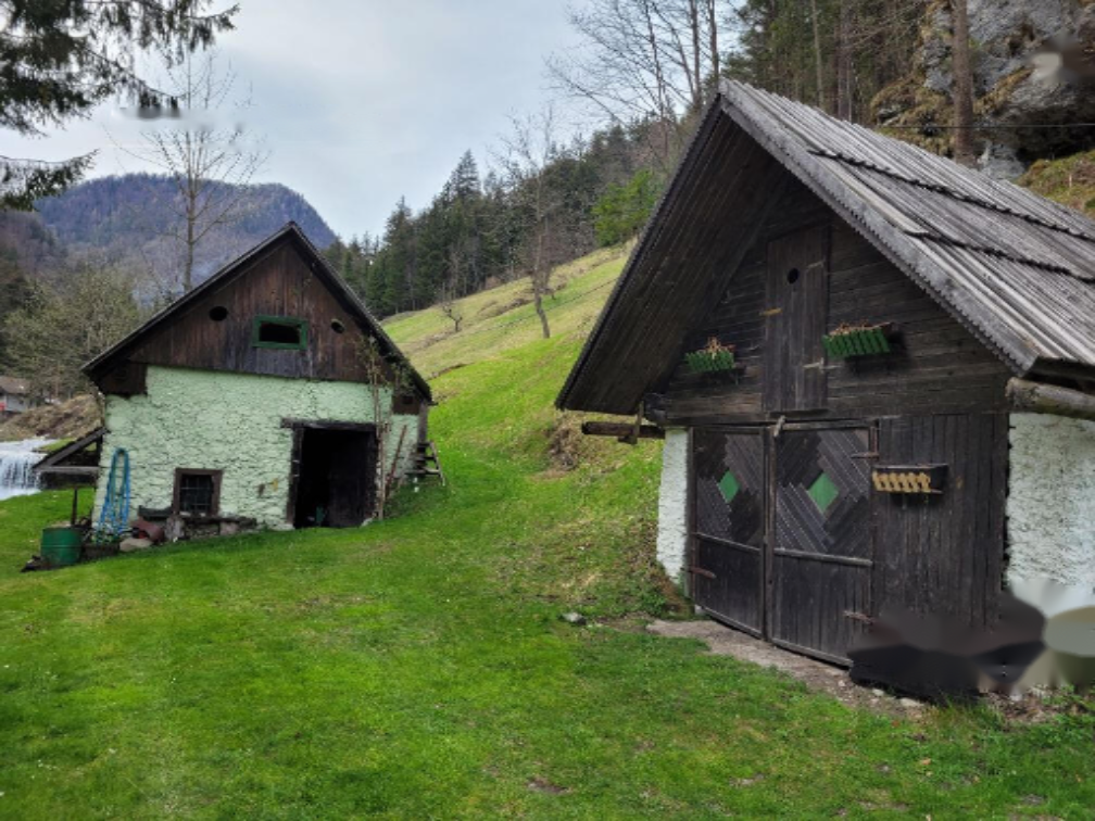 Ферма в Веленье, Словения, 26 317 м² - фото 6