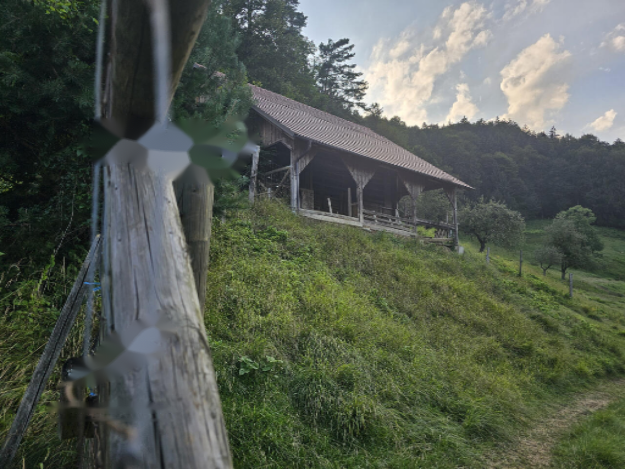 Ферма в Зрече, Словения, 52 057 м² - фото 8