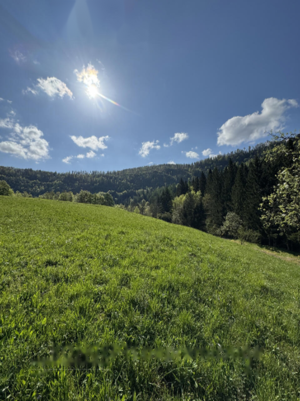 Ферма в Радовлице, Словения, 123 186 м² - фото 8