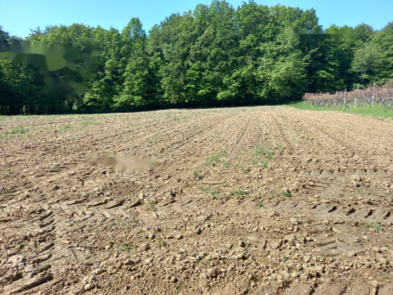 Дом в Мурска-Соботе, Словения, 90 м² - фото 9