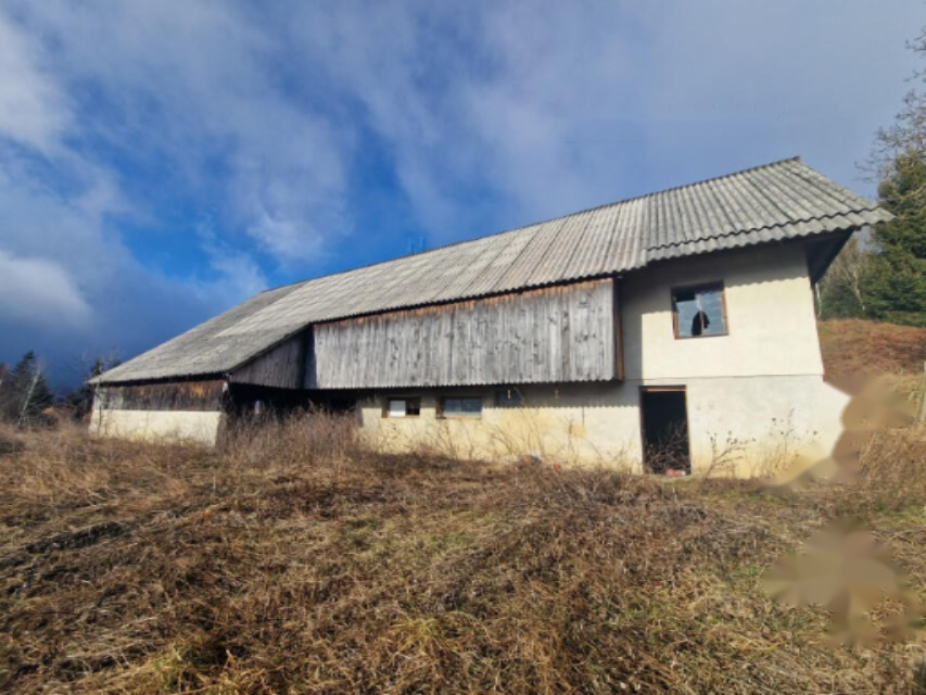 Ферма в Муте, Словения, 131 726 м² - фото 9