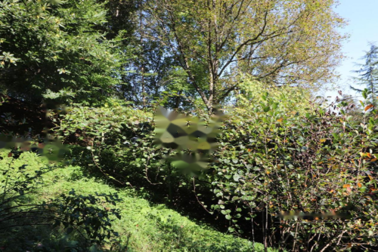 Ферма в Ленарте, Словения, 131 м² - фото 10