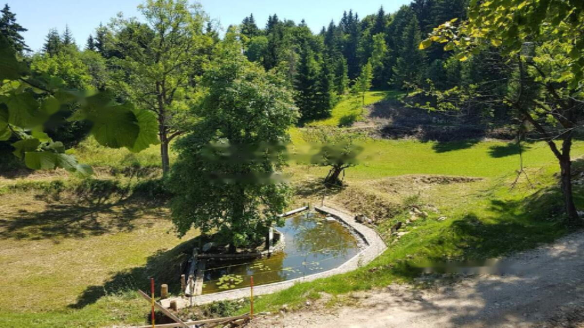 Ферма в Лашко, Словения, 129 000 м² - фото 10