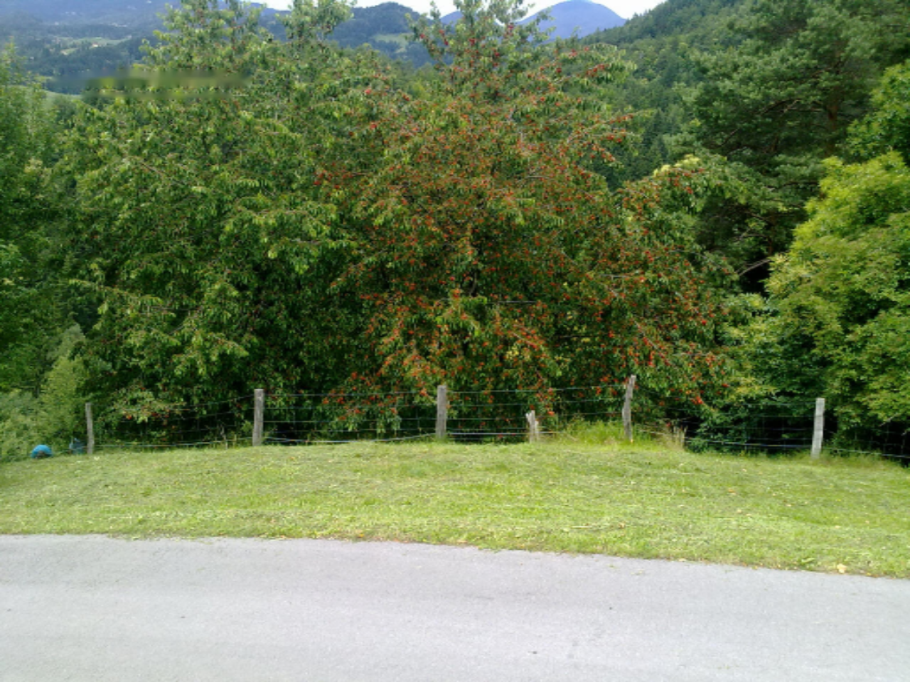 Ферма в Равне-на-Корошкем, Словения, 40 000 м² - фото 8