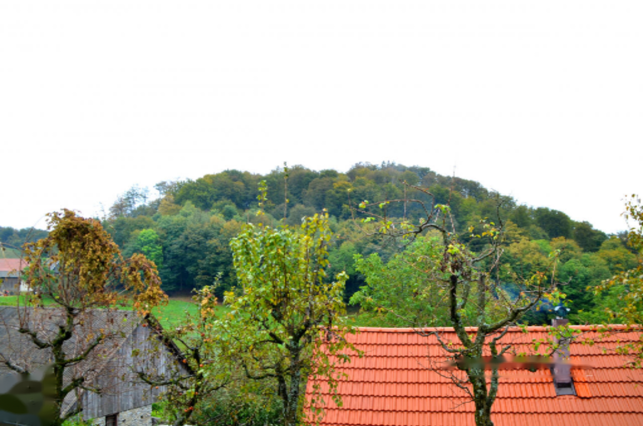 Дом в Шмарье-при-Елшах, Словения, 120 м² - фото 9