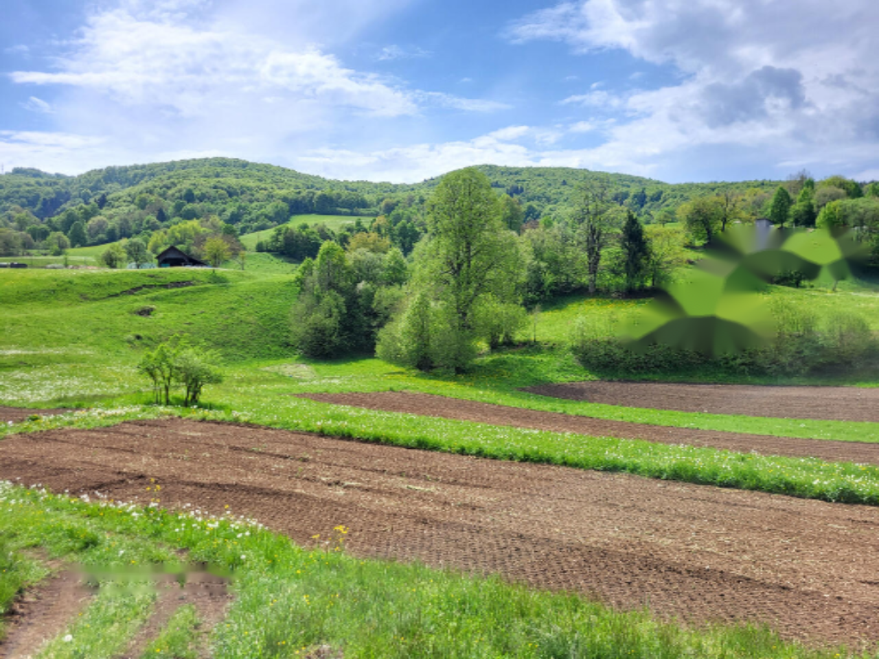 Ферма в Ново-Место, Словения, 52 000 м² - фото 10