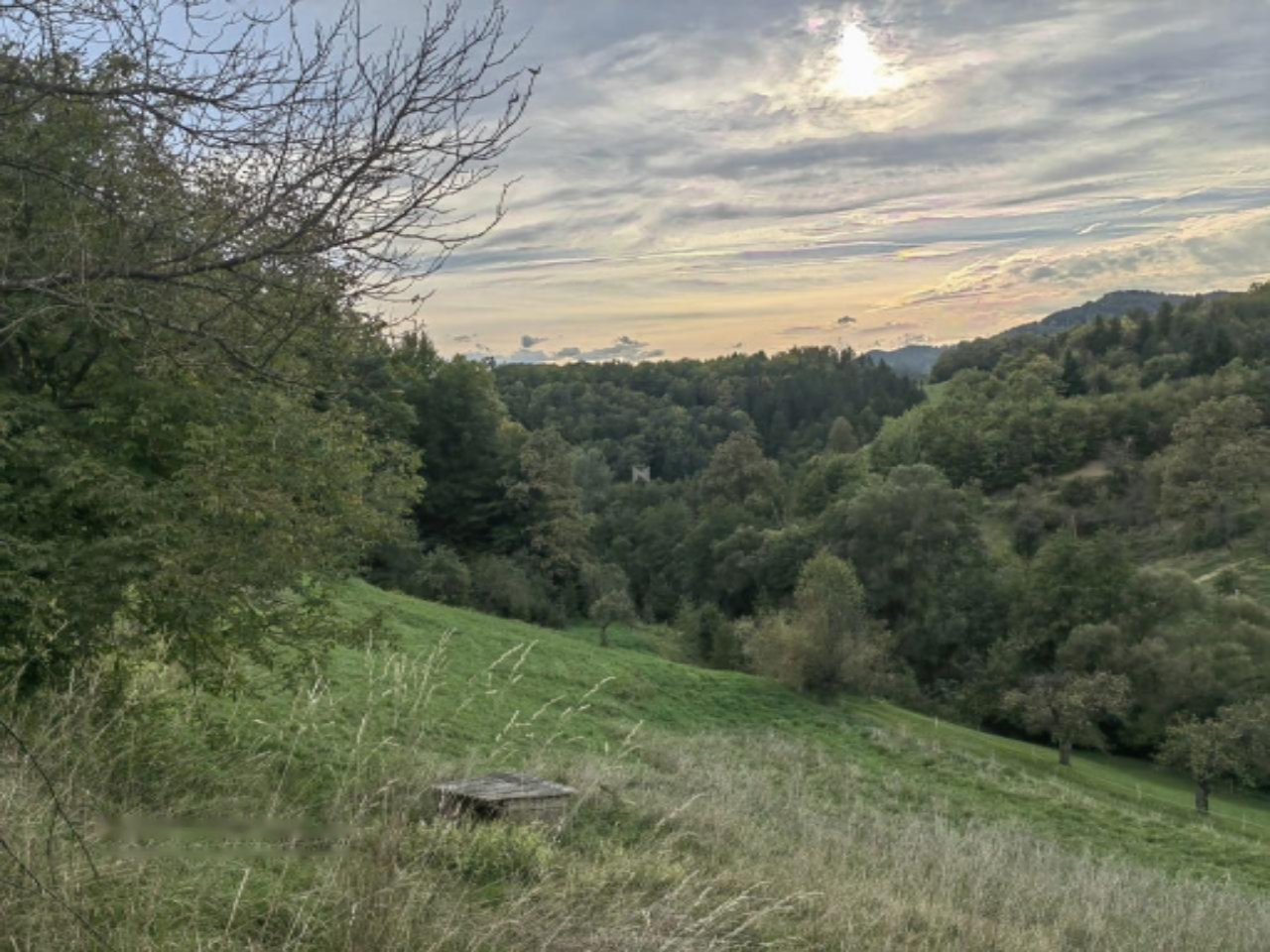 Ферма в Целе, Словения, 210 м² - фото 10