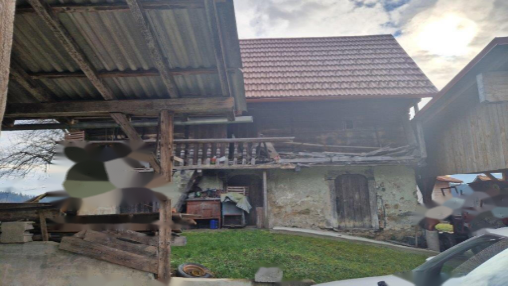 Ферма в Целе, Словения, 45 000 м² - фото 11