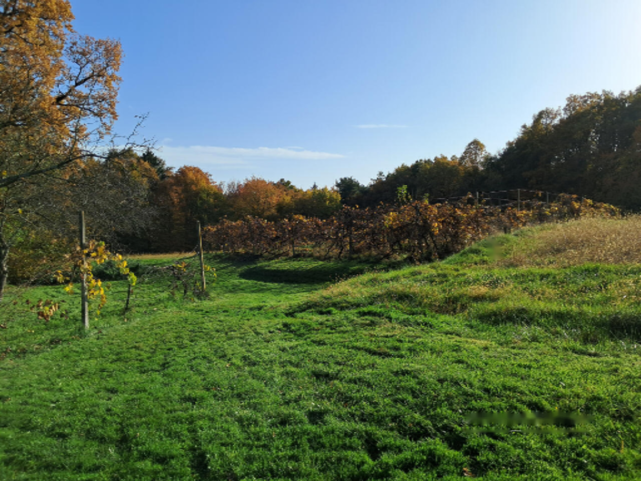 Дом в Мурска-Соботе, Словения, 90 м² - фото 11