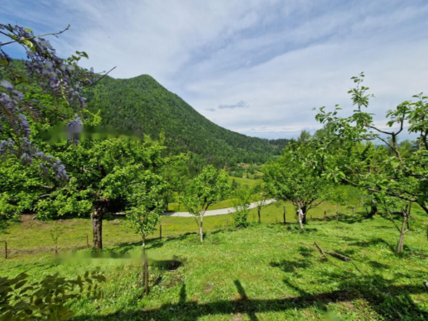 Ферма в Равне-на-Корошкем, Словения, 105 872 м² - фото 11