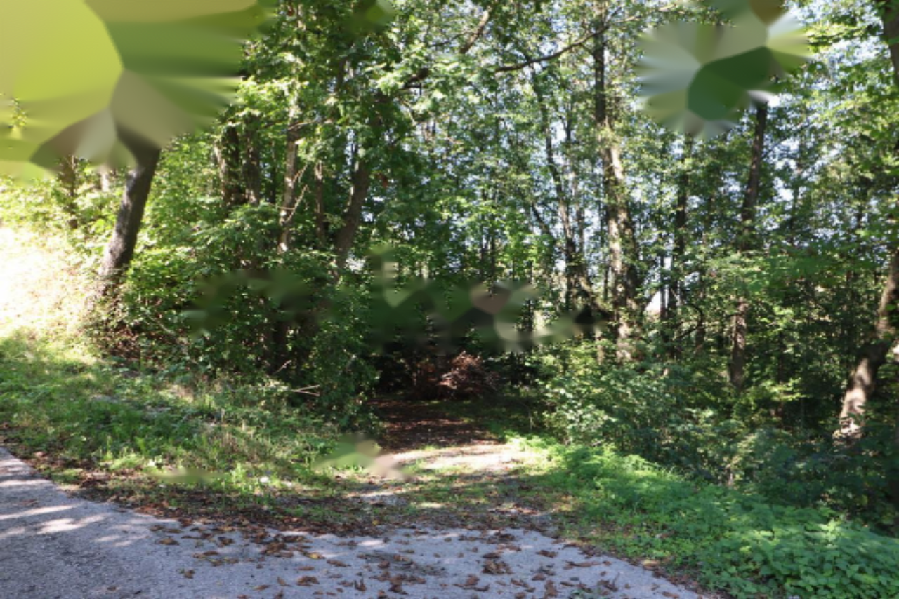 Ферма в Ленарте, Словения, 131 м² - фото 11