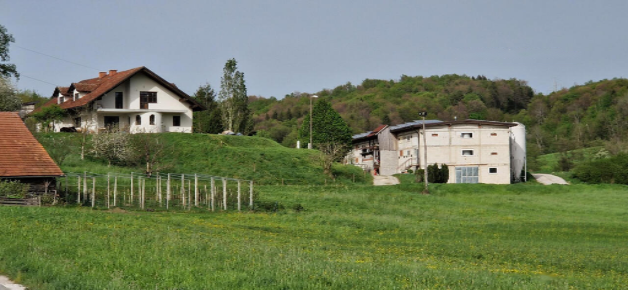 Ферма в Словенска-Бистрице, Словения, 81 802 м² - фото 12