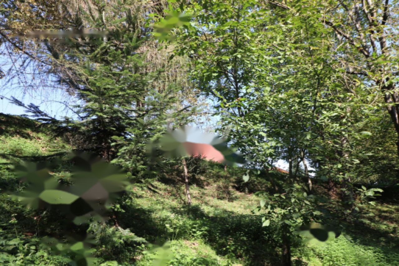 Ферма в Ленарте, Словения, 131 м² - фото 12