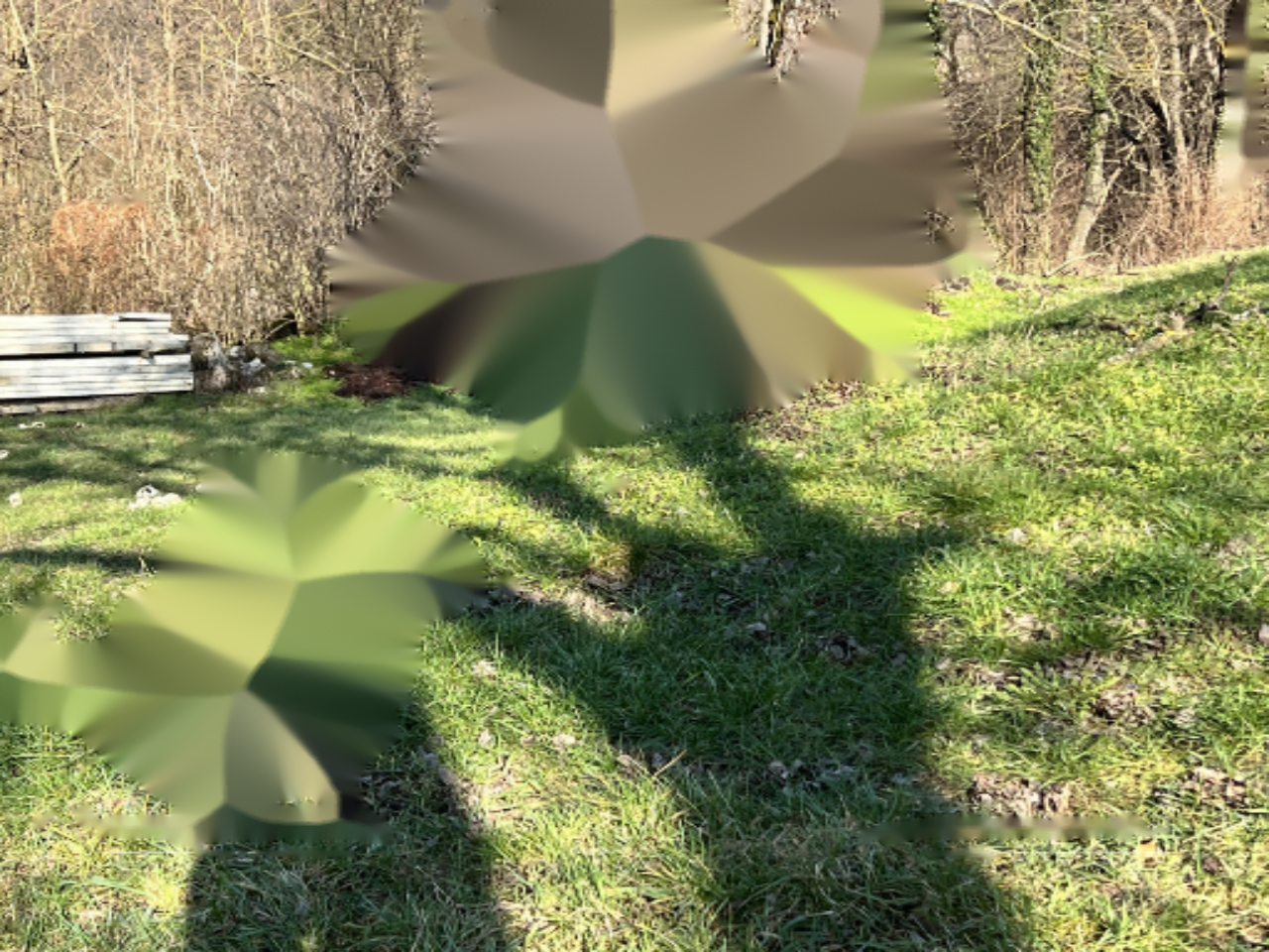 Дом в Шмарье-при-Елшах, Словения, 94 м² - фото 13