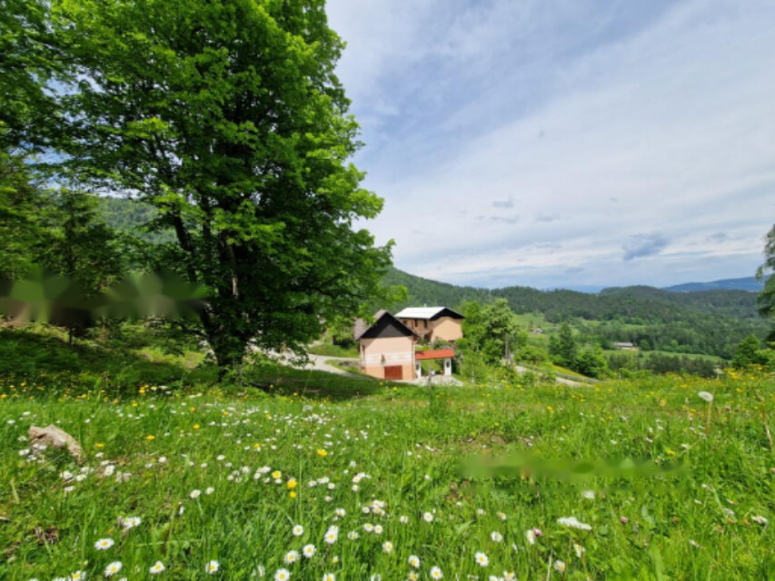 Ферма в Равне-на-Корошкем, Словения, 105 872 м² - фото 14