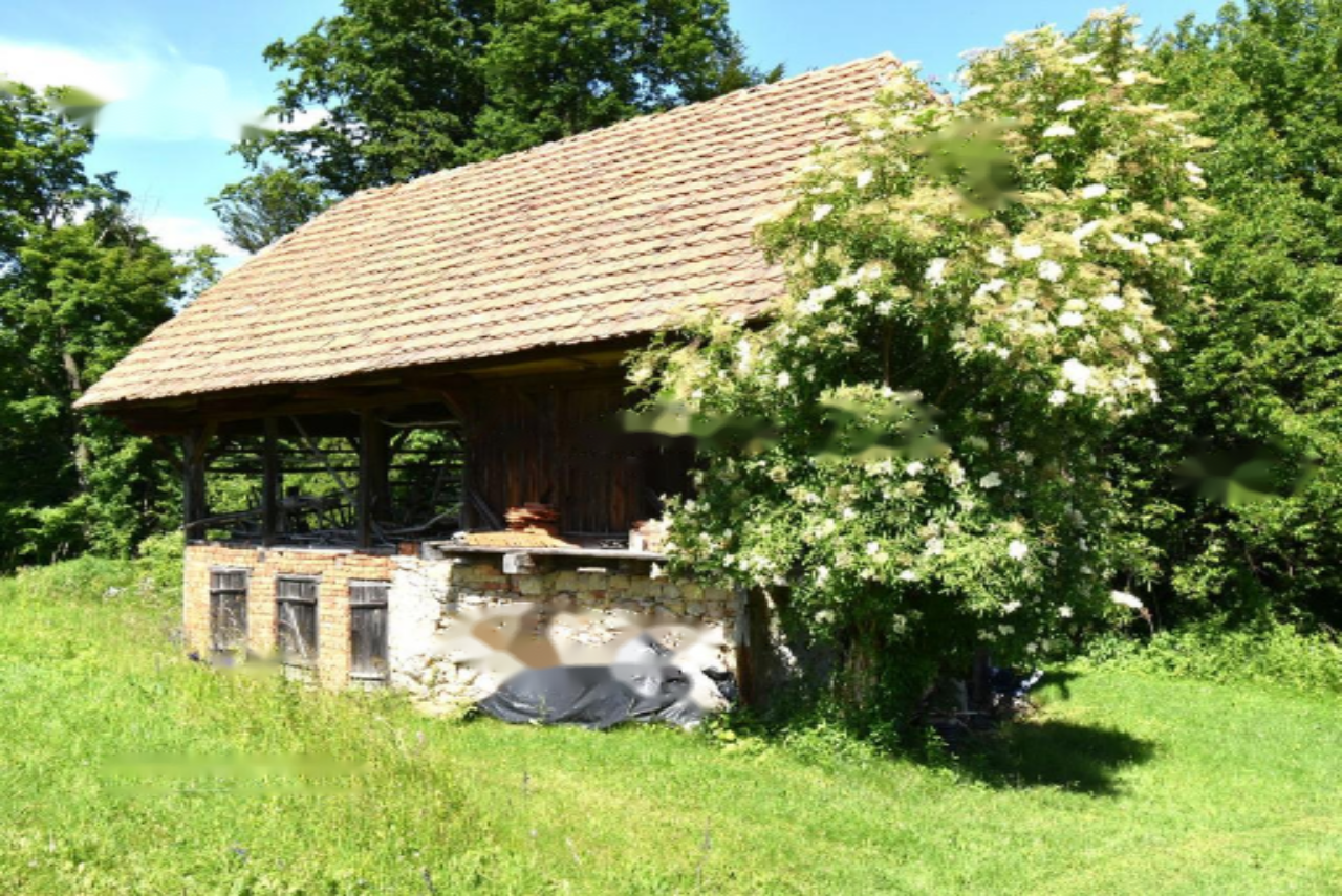 Ферма в Шентюре, Словения, 70 м² - фото 14