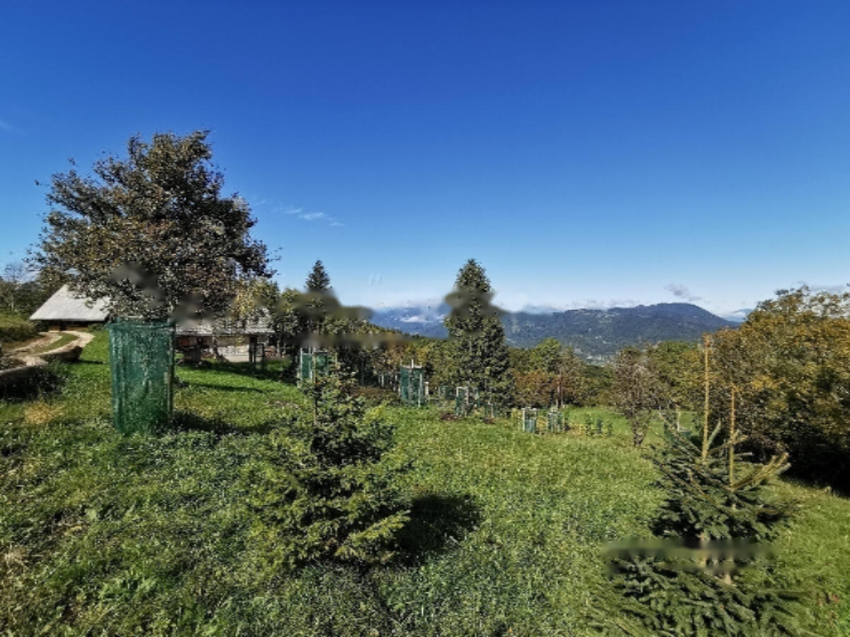 Ферма в Лашко, Словения, 129 000 м² - фото 14