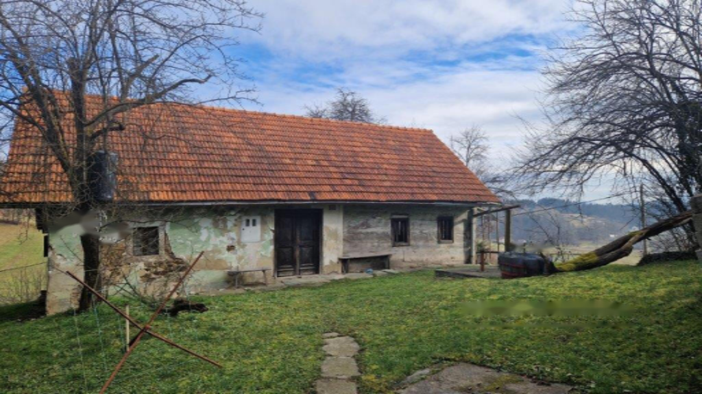 Ферма в Целе, Словения, 45 000 м² - фото 15