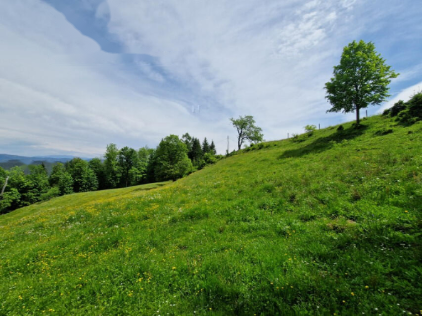 Ферма в Равне-на-Корошкем, Словения, 105 872 м² - фото 15