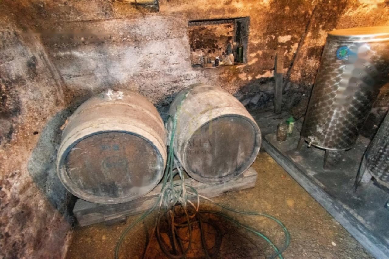 Дом в Птуе, Словения, 58 м² - фото 16