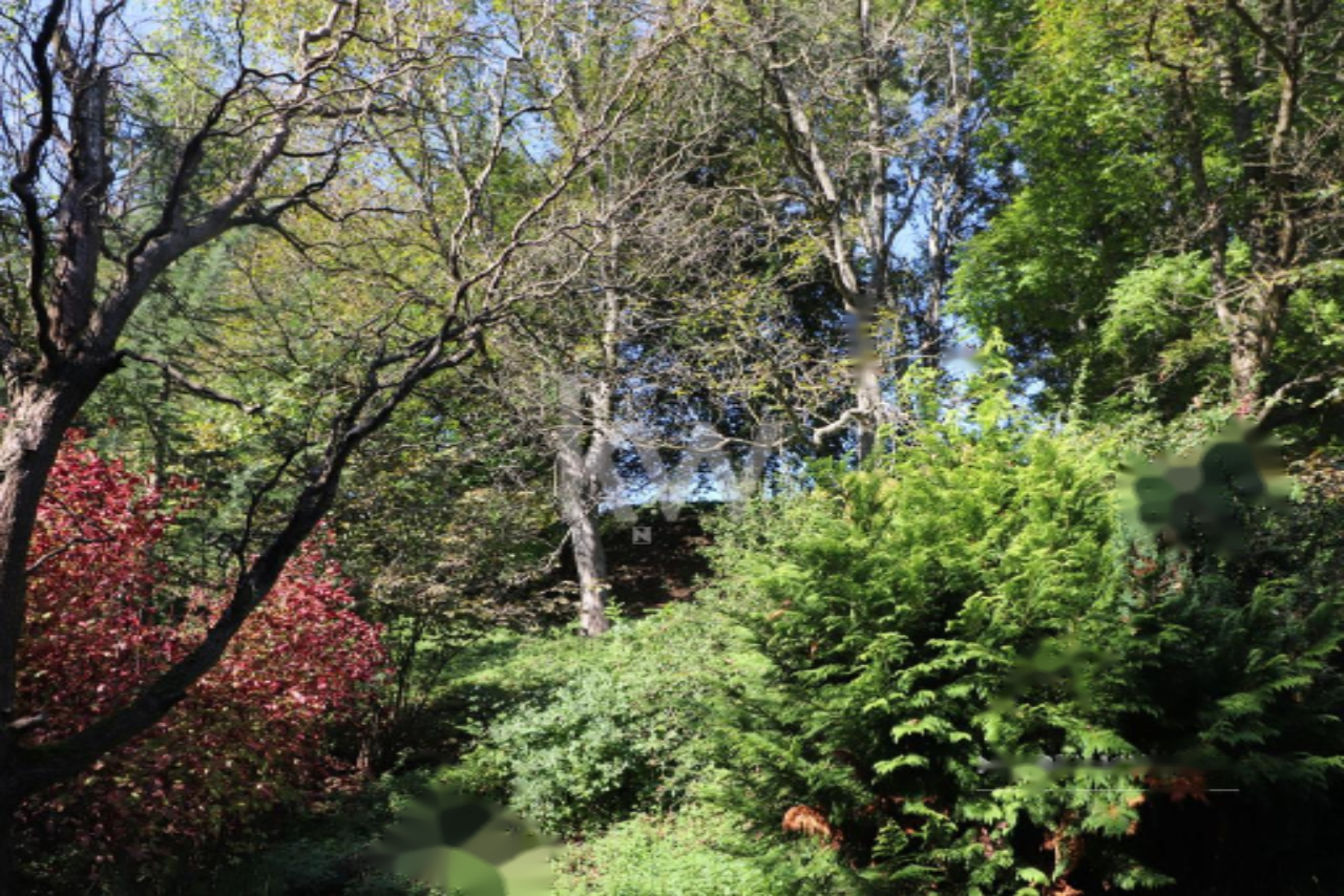 Ферма в Ленарте, Словения, 131 м² - фото 17