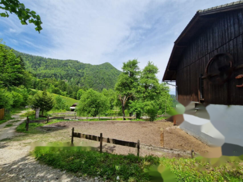 Ферма в Равне-на-Корошкем, Словения, 105 872 м² - фото 17