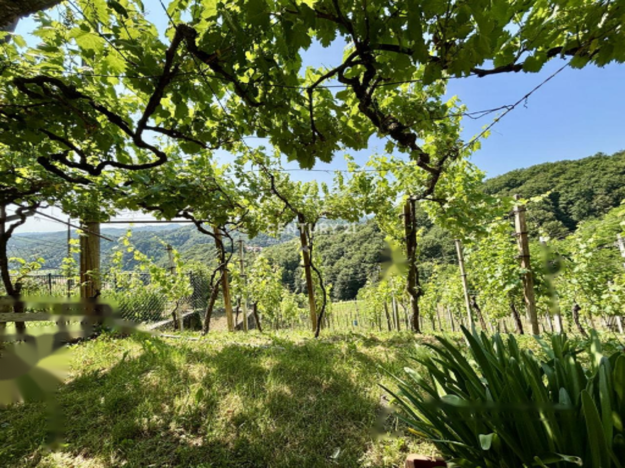 Дом в Птуе, Словения, 82 м² - фото 17