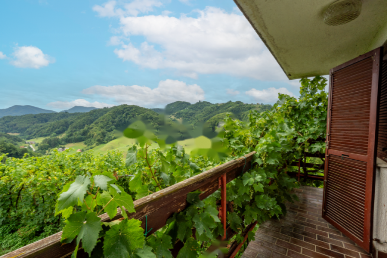 Дом в Птуе, Словения, 105 м² - фото 17