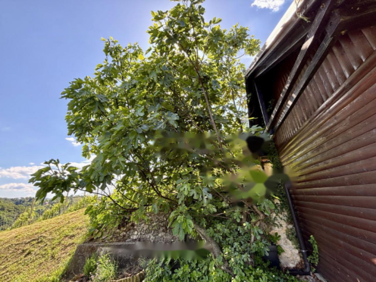 Дом в Птуе, Словения, 94 м² - фото 18