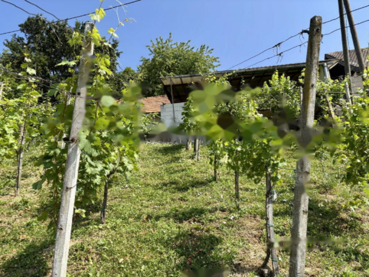 Дом в Птуе, Словения, 82 м² - фото 18