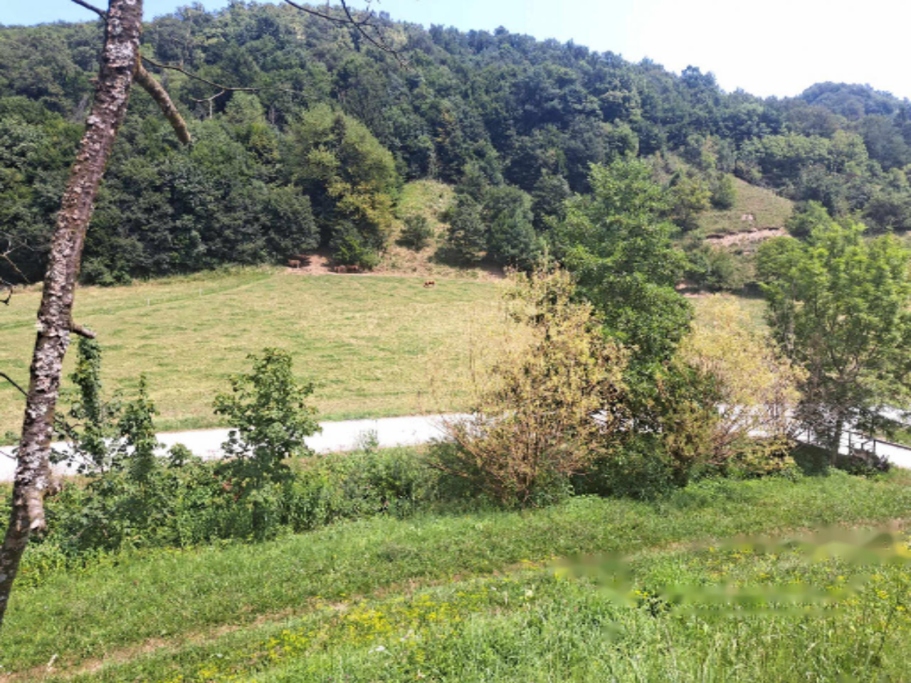 Ферма в Птуе, Словения, 96 595 м² - фото 18