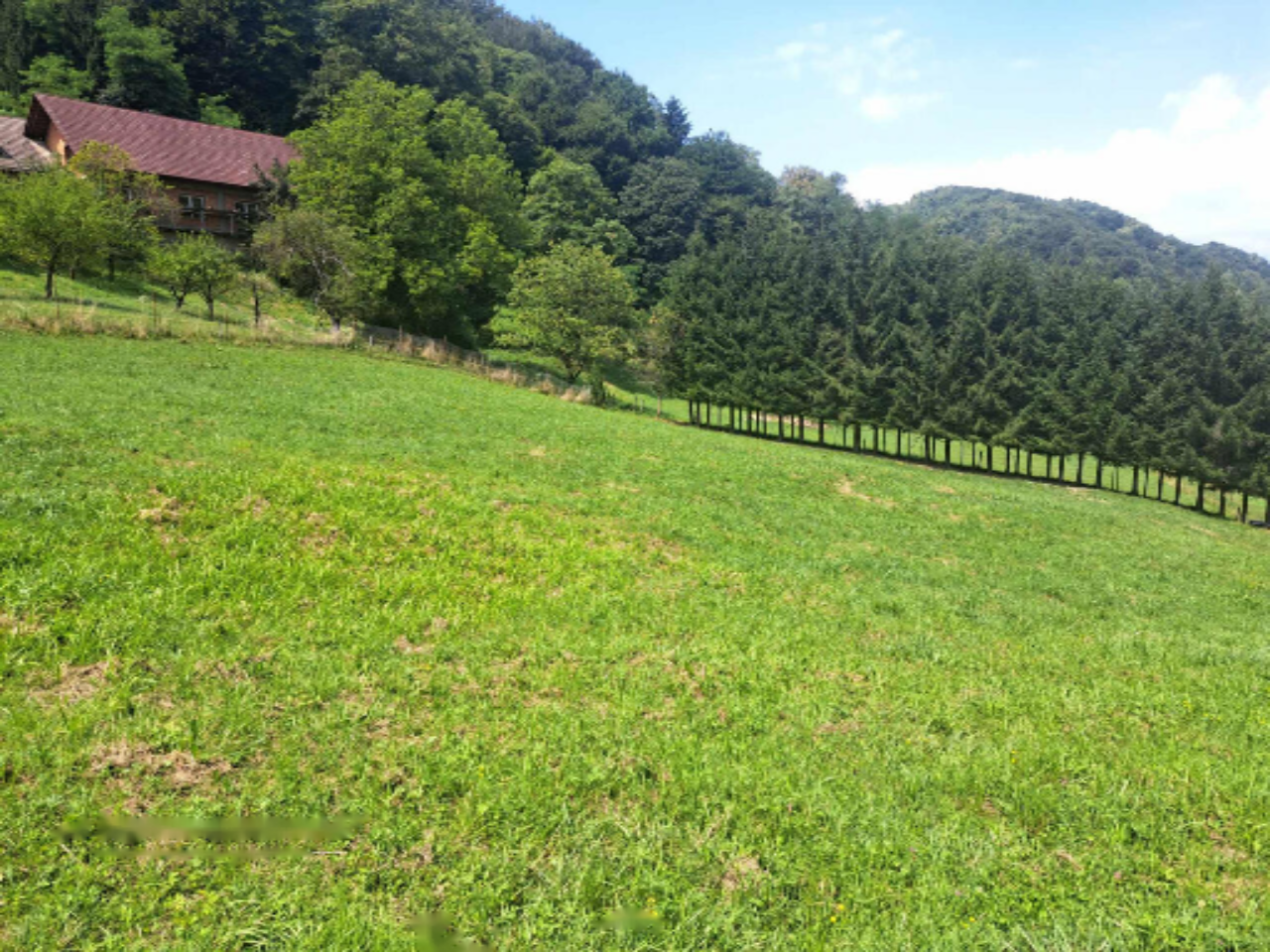 Ферма в Птуе, Словения, 96 595 м² - фото 19