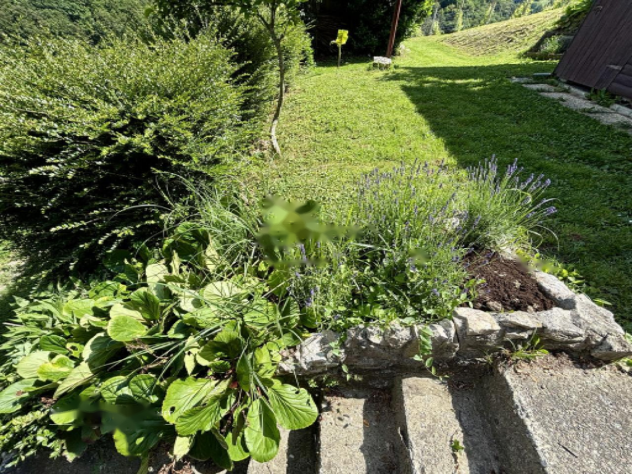 Дом в Птуе, Словения, 94 м² - фото 19