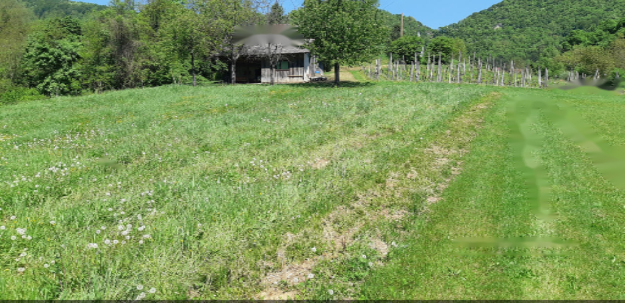 Ферма в Брежице, Словения, 43 413 м² - фото 19