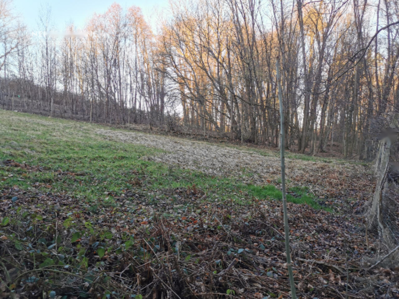 Дом в Горня-Радгоне, Словения, 40 м² - фото 19