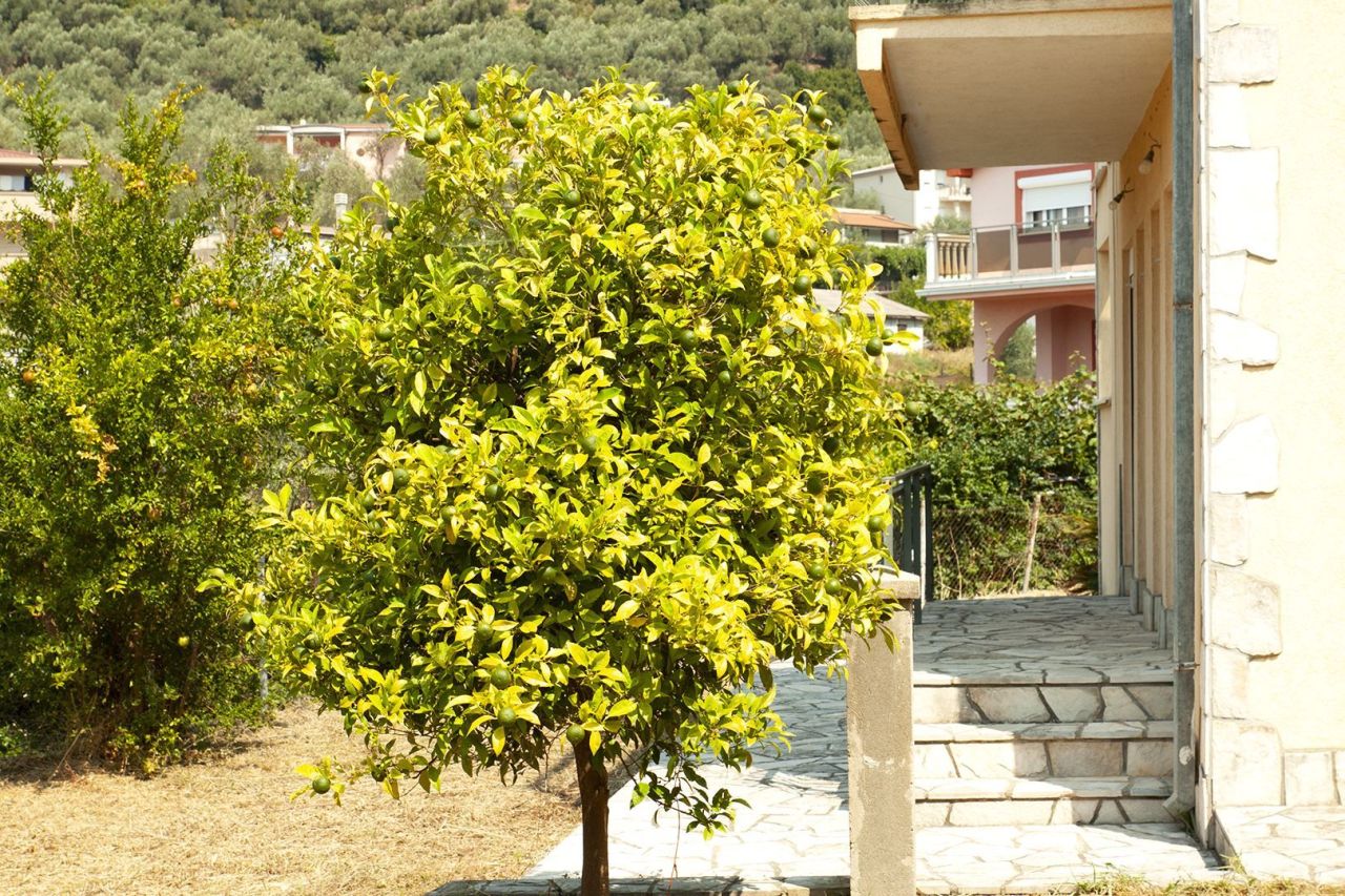 Дом в Баре, Черногория, 188 м² - фото 15