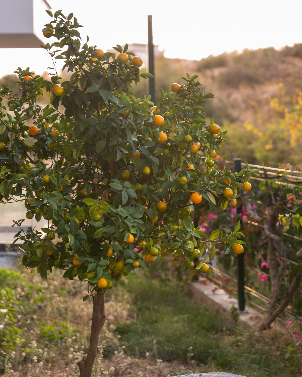 Квартира в Алании, Турция, 35 м² - фото 16