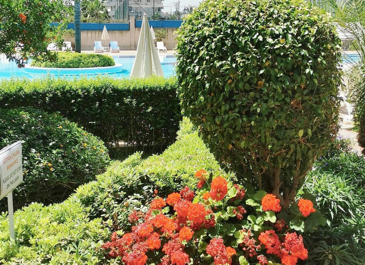 Квартира в Алании, Турция, 75 м² - фото 16