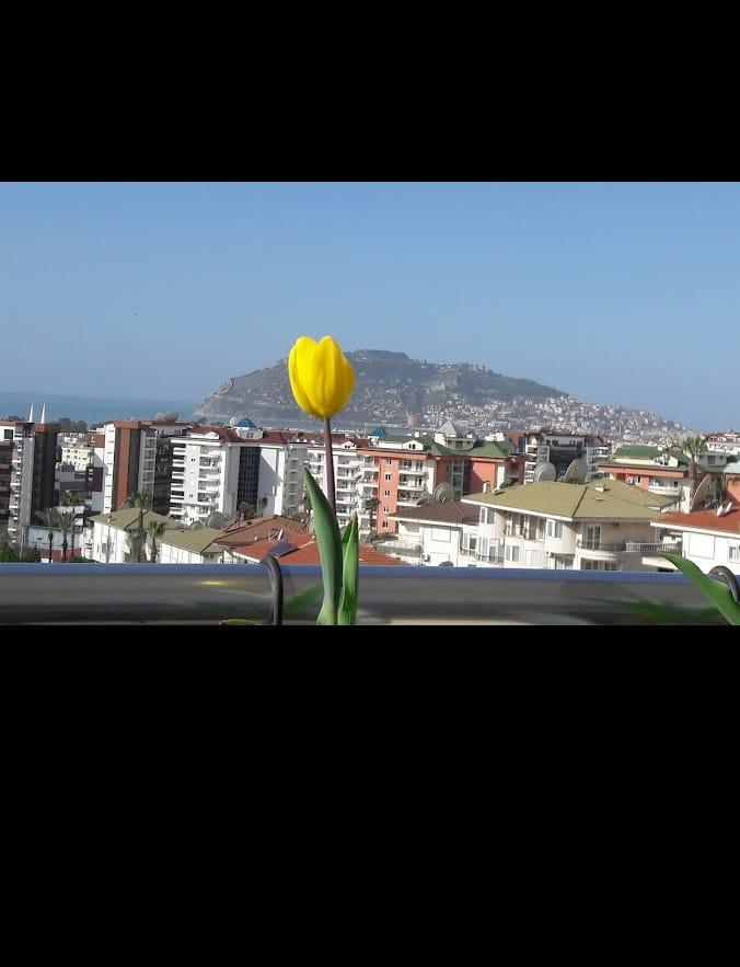 Квартира в Алании, Турция, 110 м² - фото 17