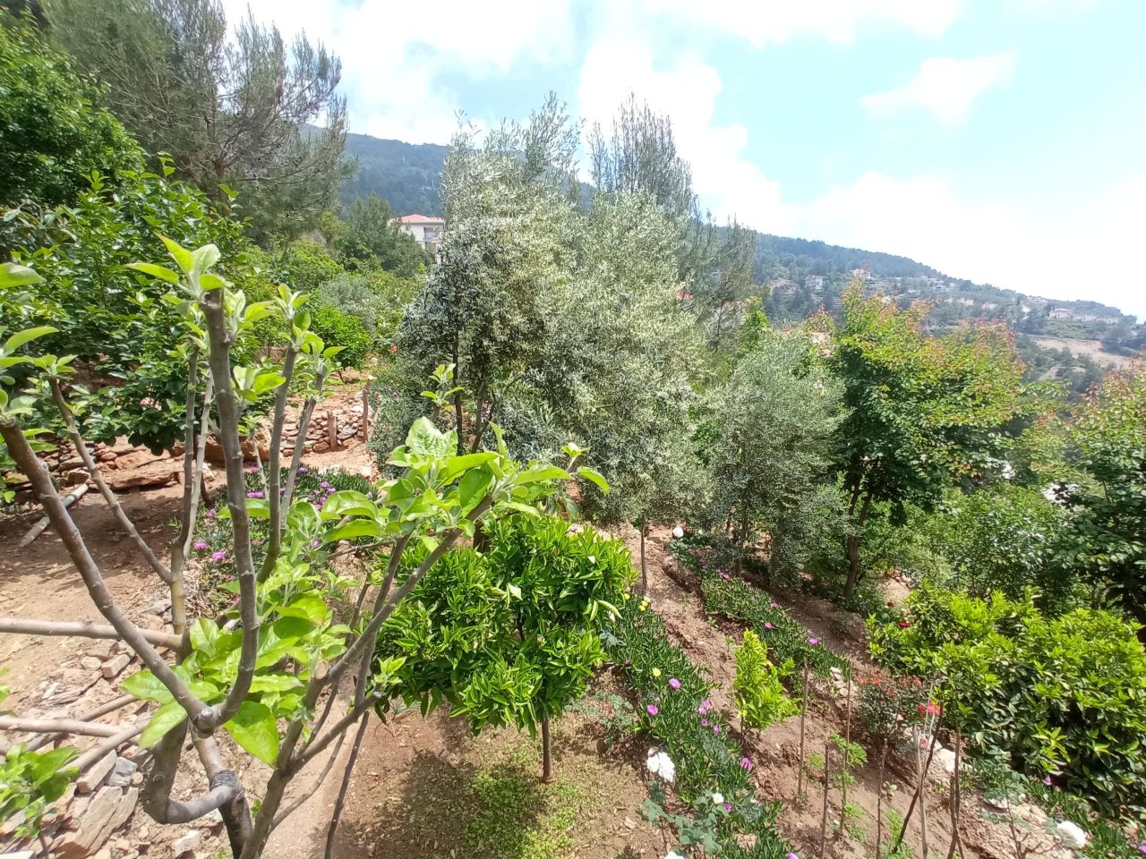 Пентхаус в Алании, Турция, 180 м² - фото 17