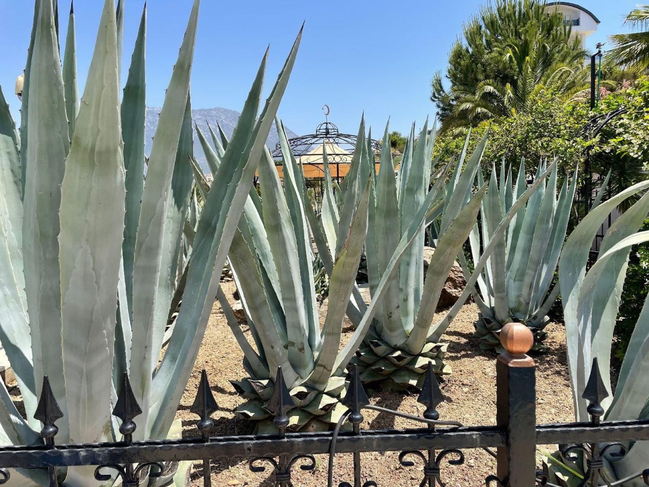 Вилла в Алании, Турция, 450 м² - фото 18