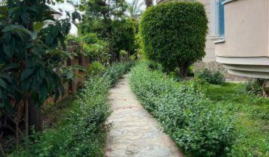 Пентхаус в Алании, Турция, 170 м² - фото 18