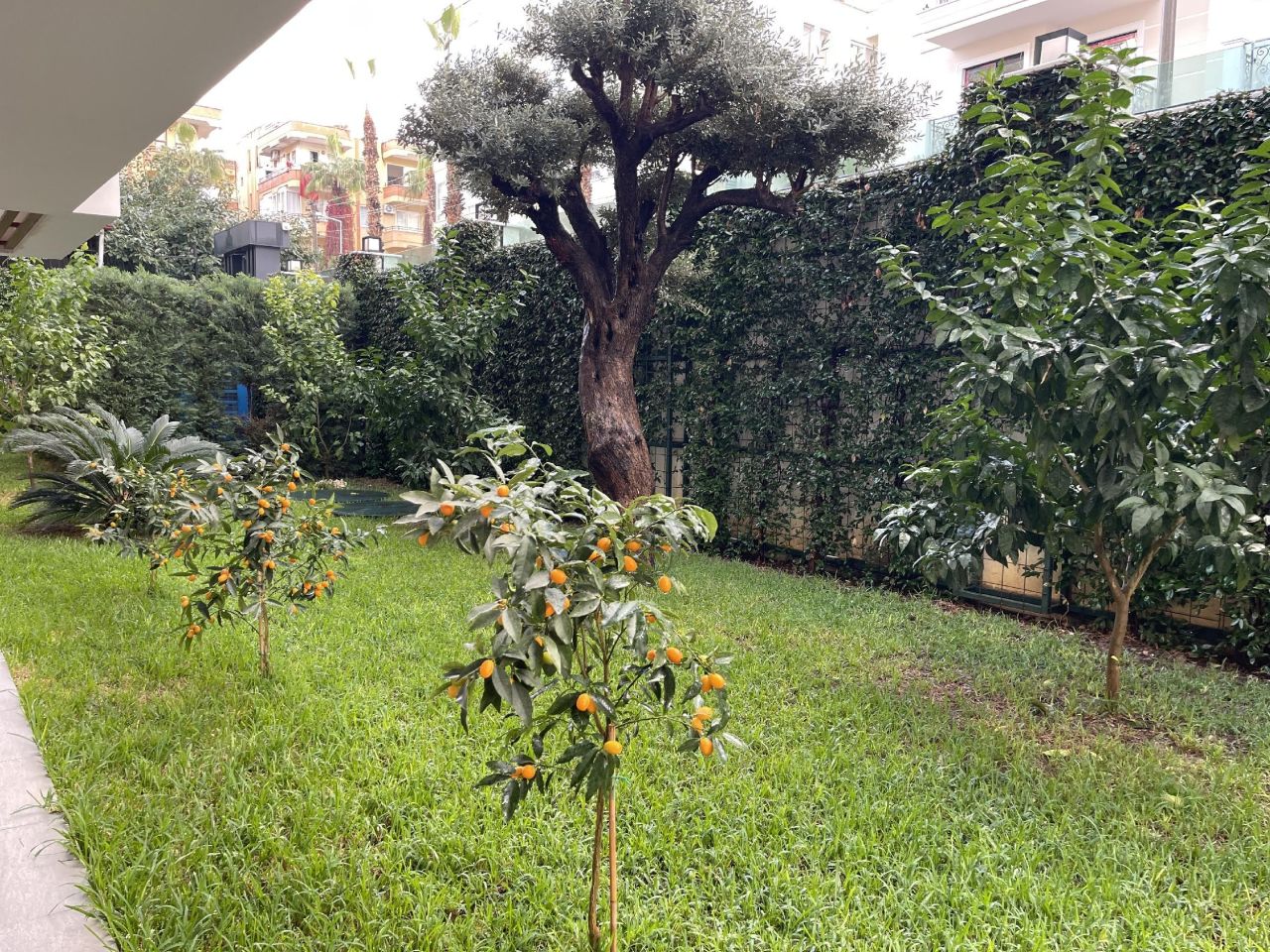 Квартира в Алании, Турция, 55 м² - фото 18