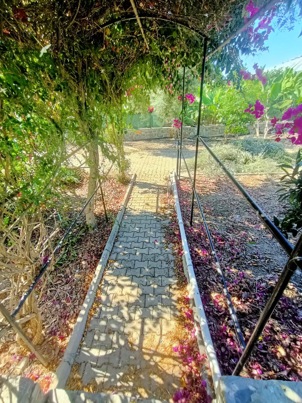 Вилла в Алании, Турция, 500 м² - фото 19