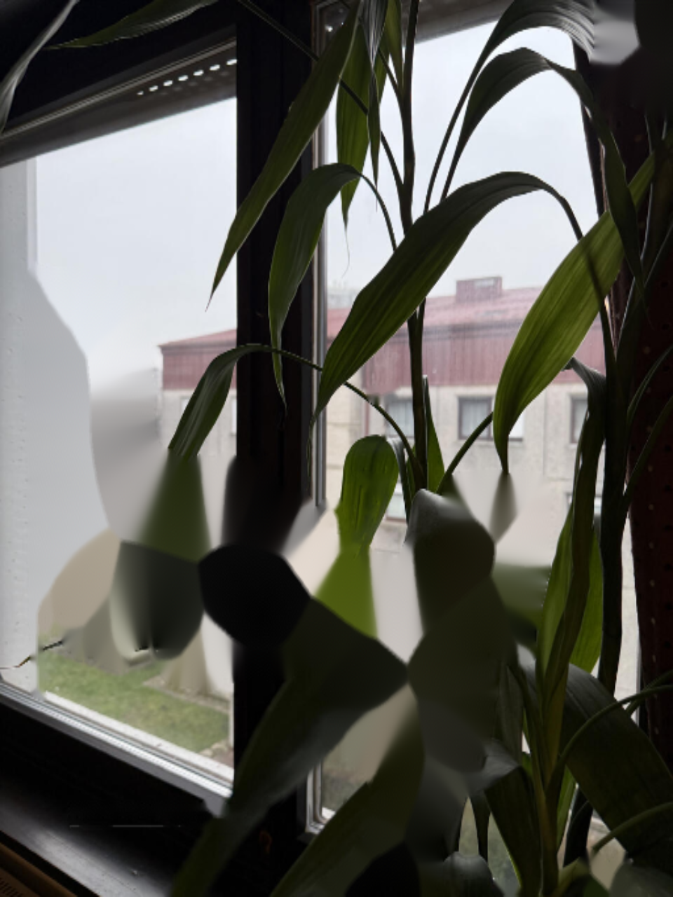 Квартира в Любляне, Словения, 81 м² - фото 16