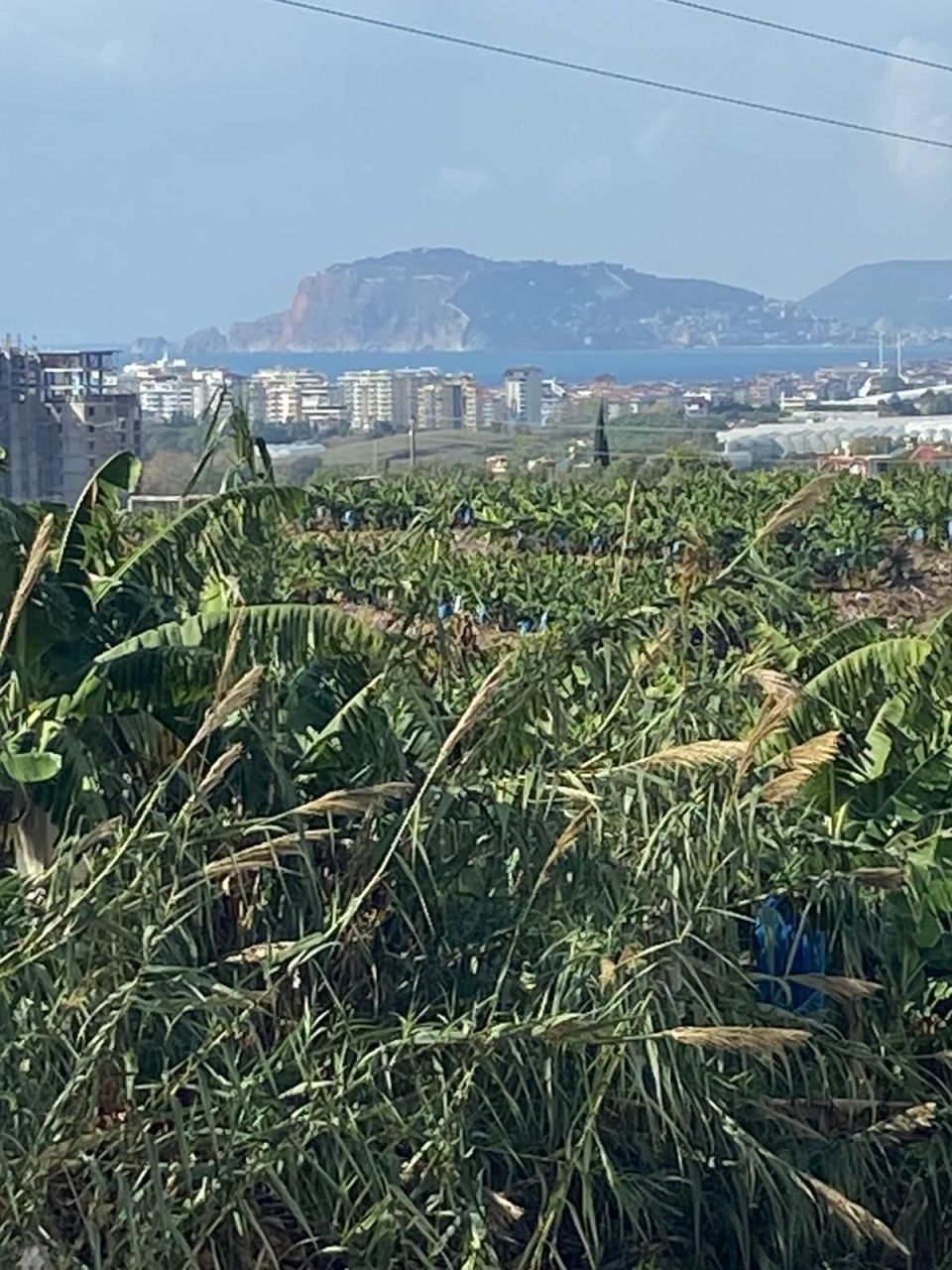 Квартира в Алании, Турция, 50 м² - фото 19