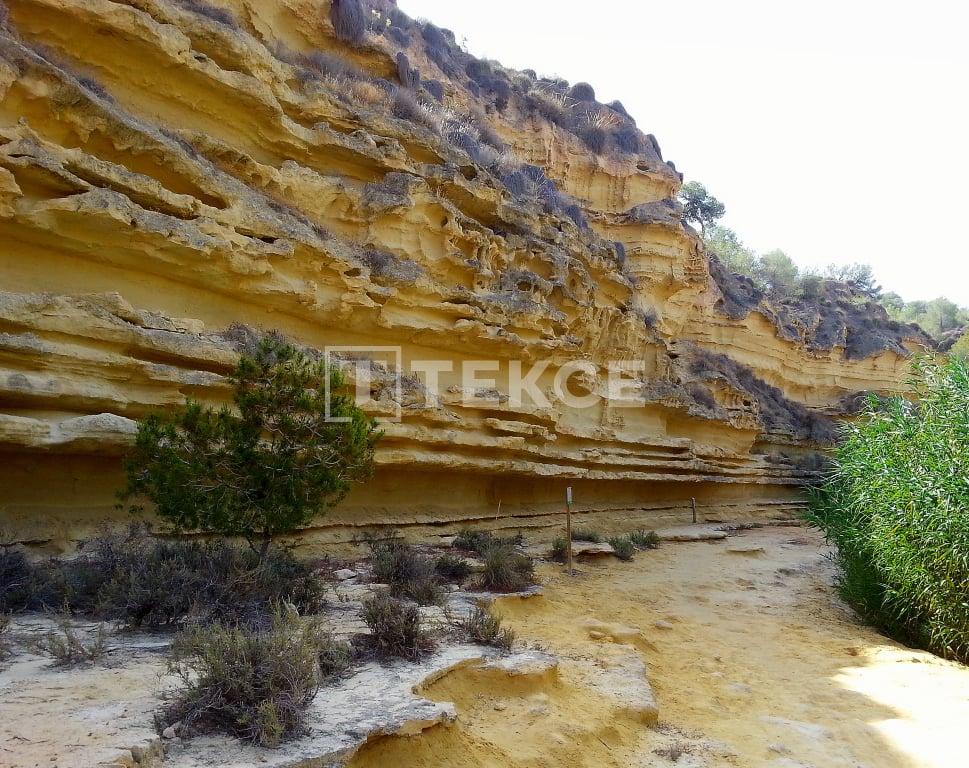 Вилла в Пилар-де-ла-Орадада, Испания, 227 м² - фото 4
