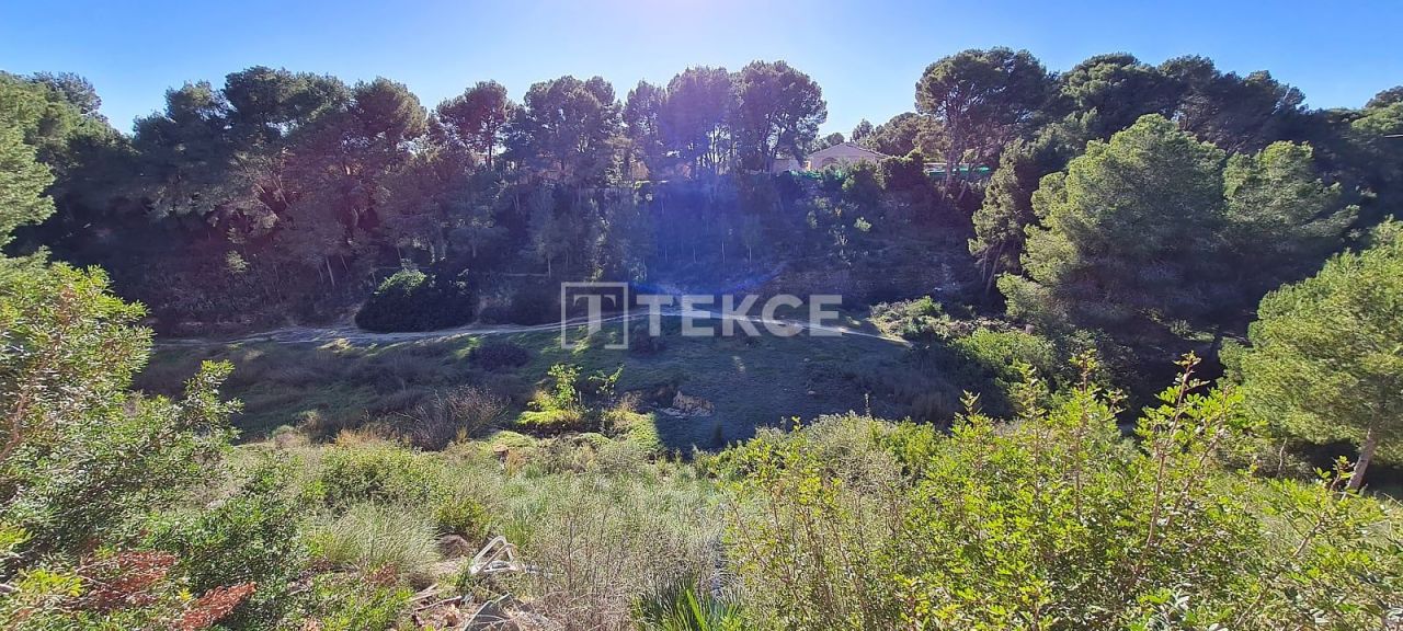 Вилла в Пилар-де-ла-Орадада, Испания, 227 м² - фото 9