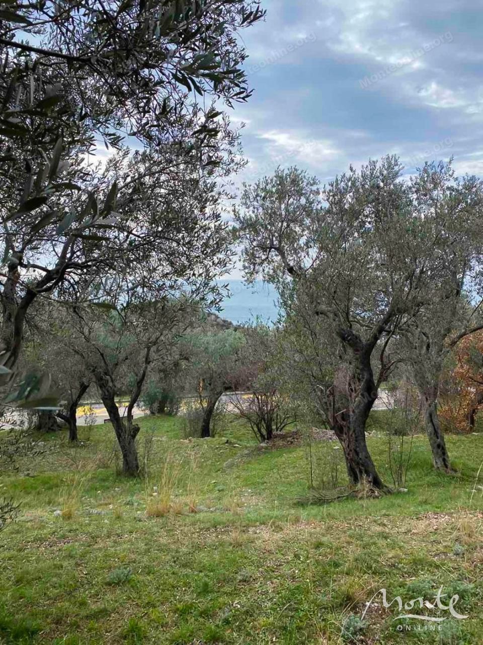 Земля в Режевичах, Черногория, 1 650 м² - фото 4